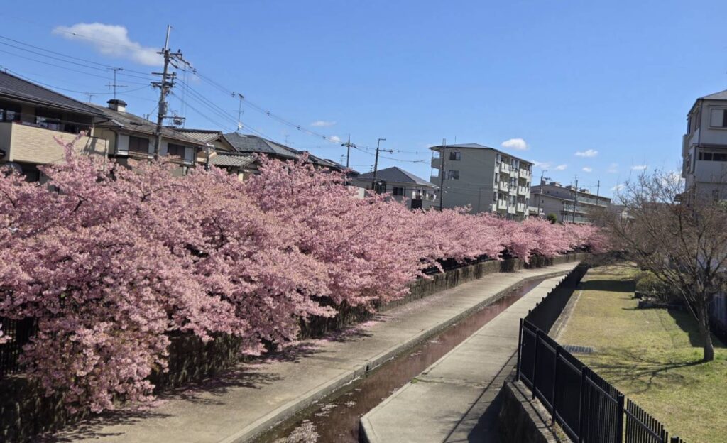 五五市マルシェ